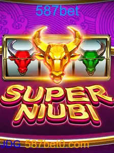 SuperNiubi